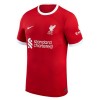 Liverpool 2023-24 Virgil 4 Kotipelipaita
